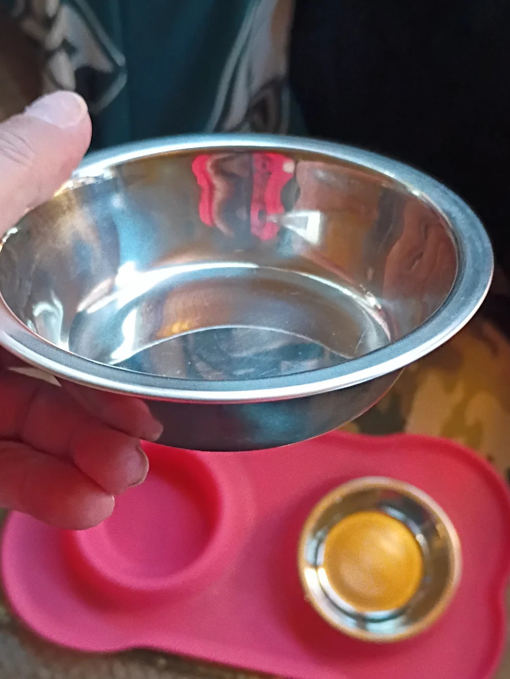 Small Dog Bowls With Silicone Mat